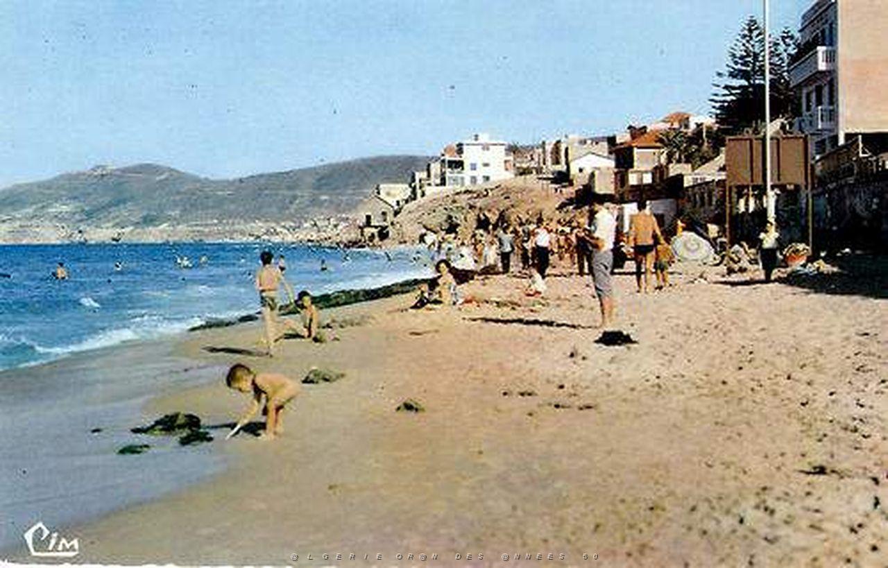 CO ha- 306- Ain el turck .jpg